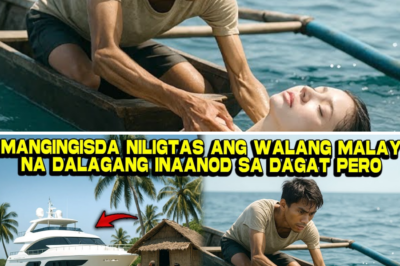 HINULI SA DAGAT, IPINAGLABAN SA KORTE: ANG MAGICAL NA PAG-IBIG NINA ELIAS, ANG MANGINGISDA, AT AMARA VELES, ANG TAGAPAGMANA NA TUMAKAS SA SAPILITANG KASAL