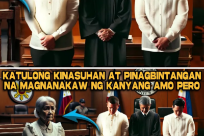 Ang Talsik ng Katotohanan: Paano Naging Simula ng Tagumpay ang Maling Paratang ng Pagnanakaw kay Mary Jane, Ang Domestic Helper na Iniligtas ng Kabutihan