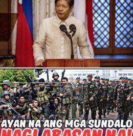 PALACE IN PERIL: Shocking Reports Erupt Alleging a Massive Rift as the Military Supposedly Plans to Withdraw Support from President Marcos Amidst Deepening Political Unrest and Broken Alliances
