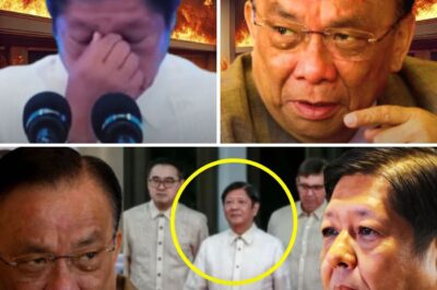 GUMUHONG HAKA-HAKA AT NAKAKAGULAT NA PAG-AMIN: ANG KATOTOHANAN SA LIKOD NG PAGSASALITA NG DATING ‘LITTLE PRESIDENT’ MATAPOS SIBAKIN SA PWESTO AT ANG KANYANG TUNAY NA SALOOBIN KAY PBBM!