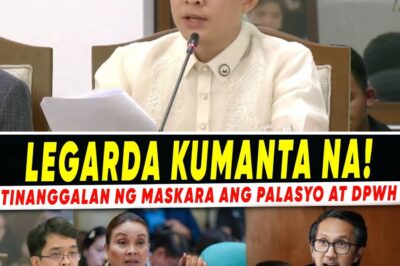 THE 1.2 TRILLION PESO BOMBSHELL: Congressman Leviste Exposes Massive DPWH Budget Insertions as PCIJ Names Sandro Marcos and Martin Romualdez ‘Pork Barrel Kings’
