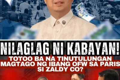 BREAKING: Is a Powerful Politician Secretly Running a Fugitive Ring in Paris? The Shocking Allegations That Could Bring Down an Empire!