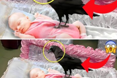 UWAK DUMAPO SA KABAONG NG ISANG BABAE AT DUN NANGYARI ANG DI INAASAHAN