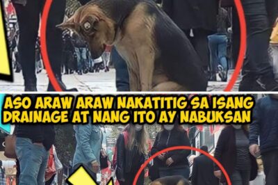ASO ARAW ARAW NAKATITIG SA ISANG DRAINAGE AT NANG ITOY NABUKSAN, ANG LAHAT NG TAO AY NAGULAT