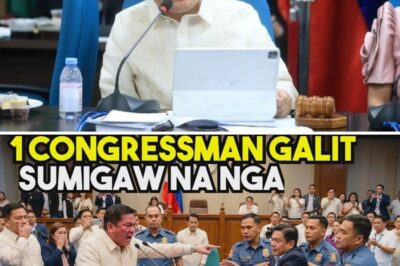 NAKAKAGULAT: Isang Kilalang Congressman, Hindi Nakapagpigil at Halos Sumabog sa Galit Matapos Mabuking ang Bilyun-bilyong Pisong Proyekto na Tila Naglaho na Parang Bula sa Gitna ng Mainit na Pagdinig!