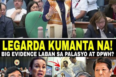 The P1.2 Trillion Secret: Whistleblower Reveals Massive Hidden Funds in DPWH Budget, Exposing Alleged Political Corruption and the Astonishing Cost of Kinship Bias