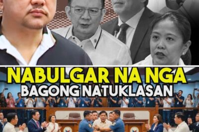 The P6 Billion Question: Unprecedented DPWH Scandal Exposes Alleged Systemic Corruption, Familial Budget Hoarding, and Legislative Conflict of Interest