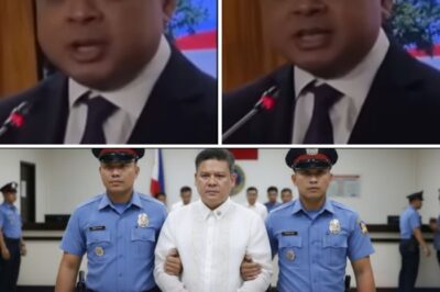 The P52 Billion Secret: Congressman Paolo Duterte Avoids ICI Investigation, Sparking National Question Over Absolute Power and Vulnerability to Legal Confinement