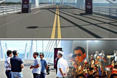 The Collapse of Fervor: Why the Political Unrest and Alleged Digital Chaos Unleashed by the DDS Base Is Now Causing Massive National Embarrassment and Demands for Accountability