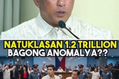 UNIMAGINABLE FINANCIAL SHOCK: The Mystery of the One Trillion Peso “Allocables” Linked to Just Two Powerful Figures and the Massive 50 Billion Stash That Has the Entire Nation Demanding Immediate Answers!