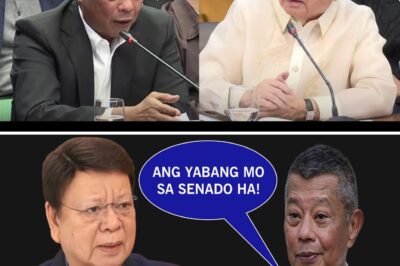 THE TABLES HAVE TURNED: The Fierce Critic Who Once Dominated the Senate Floor Is Now Facing the Ultimate Test of Courage as the Ombudsman Enters the Fray and the Hunter Becomes the Hunted!