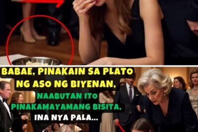 BABAE, PINAKAIN SA PLATO NG ASO NG BIYENAN, NAABUTAN ITO NG PINAKAMAYAMANG BISITA, INA NYA PALA…