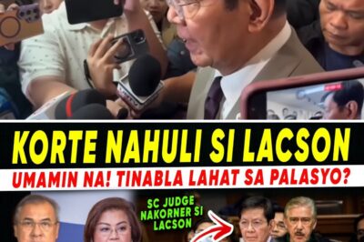 POLITICAL EARTHQUAKE: Senator Lacson Reportedly Corners the Administration and Exposes Shocking Truths About the Controversial Funds as the Supreme Court Delivers a Devastating Blow to the Palace!
