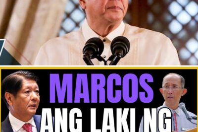 UNTOUCHABLE NO MORE? The President’s Home Province Dragged into a Massive Billion-Peso Controversy as Shocking Allegations of Anomalies and Questionable Projects Reach the Steps of Ilocos Norte!