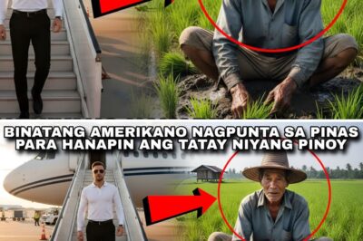 BINATANG KANO HINANAP ANG TATAY NIYANG PINOY, NAGULAT SIYA NG MAKITANG NAKABILAD ITO SA PALAYAN!
