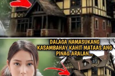 DALAGA NAMASUKANG KASAMBAHAY KAHIT MATAAS ANG PINAG-ARALAN…DI NILA AKALAIN NA JACKPOT PALA ITO SA.