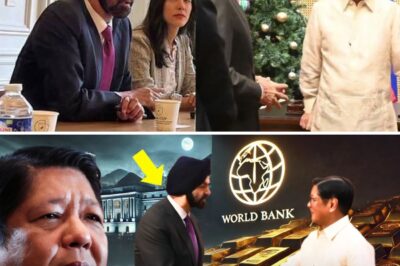 The Unthinkable Economic Shift: Why the President of the World’s Most Powerful Financial Institution Humbly Sought Out President Marcos, Confirming the Philippines’ New Status in the Global VIP Club