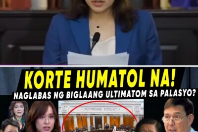 The Constitutional Tremor: Why a Sudden, Unanimous Supreme Court Order Regarding Billions in Illegally Diverted Public Trust Funds Has Placed a Top Executive Official in Imminent Jeopardy of Plunder Charges and Triggered a Political Crisis