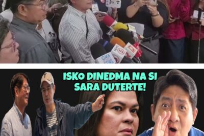 The Breaking Point: Why a High-Profile Vice President is Facing Unprecedented Calls for Immediate Resignation Over Alleged Financial Misconduct, and What a Key Witness’s Urgent Demand for Safety Has to Do With the Shifting Power Dynamics in the Capital