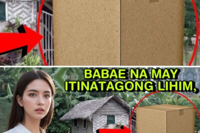 BABAE NA INAPI NG MGA KAPATID, MAY ITINATAGONG LIHIM, NAGBAGO ANG BUHAY DAHIL SA ISANG KAHON!