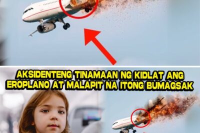 Aksidenteng Tinamaan ng Kidlat ang Eroplano pero ito ang Ginawa ng Batang Babae!