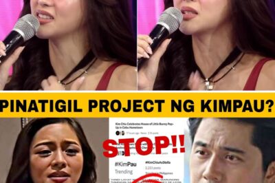 The Unconfirmed Project Catastrophe: Why Sensational Rumors of Humiliating Failure Led to an Alleged Confrontation, Exposing the Brutal Cost of Toxic Fan Loyalty and Industry Pressure on a Beloved Star Partnership