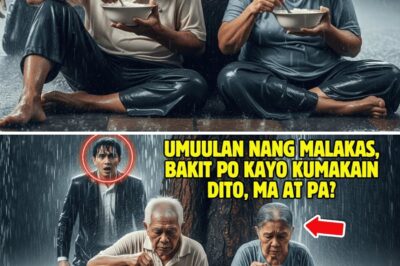 Umuwi nang biglaan ang bilyonaryo, at sa gitna ng ulan sa gabi, nabunyag ang lihim ng pamilya!