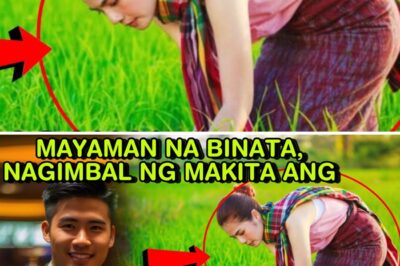MAYAMAN NA BINATA, NAGIMBAL NG MAKITA ANG BABAENG MAGSASAKA! ITO PALA ANG DALAGA NA MINAHAL NYA NOON
