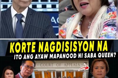 The Court of Appeals Bombshell: How the Shocking Reversal of an Acquittal Against a Controversial Former Senator Threatens to Ignite a New Political Firestorm and Expose the Depths of a Deeply Fractured Government