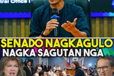 KAILANGAN MONG MAKITA ITO: Mainit na Sagutan sa Senado na Gumimbal sa Buong Bansa Tungkol sa Bilyon-Bilyong Piso at Isang Senador na Posibleng Makulong sa Susunod na Linggo!