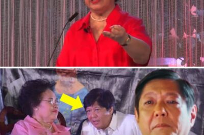 NAKAKAIYAK: Ang Lihim na Mensahe at Huling Habilin ni Miriam Defensor Santiago kay BBM na Bumabasag Ngayon sa Puso ng Bawat Pilipino