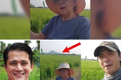 Inside the Enormous Paradise: The Mind-Blowing Scale of the Padilla Family Hacienda Revealed