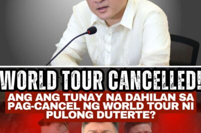 FROM A 17-NATION “WORLD TOUR” TO A SUDDEN ABORT MISSION: THE SHOCKING TRUTH BEHIND PAOLO DUTERTE’S BIZARRE TRAVEL U-TURN AND THE EXPLOSIVE RUMORS OF HIDDEN WEALTH!