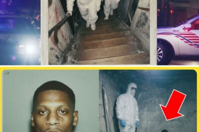 He Was Jailed for His Wife’s Disappearance — His Wife Was Later Found in the Neighbor’s Basement.