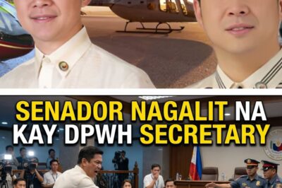 The Unprecedented Crackdown: Senator’s Fury, Presidential Cousin Charged, and P1.77 Billion in Luxury Jets Frozen in High-Stakes Integrity Sweep