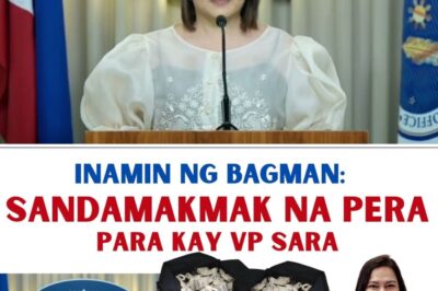 The Bagman’s Testimony: Insider Alleges Delivery of Billions in Cash to Top Officials, Linking Political Machinery to Controversial Financial Operators