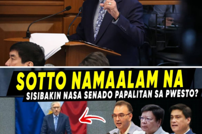 Ang Pilipinas ay Nasa Bingit: Pagbagsak ng Ekonomiya at Ang Madilim na Taktika ng ‘Pantakip’ kay VP Sara Duterte