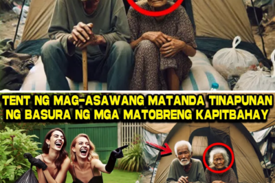 Bilyonaryong Mag-asawa, Nagpanggap na Pulubi sa Tent: Ang Matamis na Paghihiganti Laban sa Aroganteng mga Kapitbahay