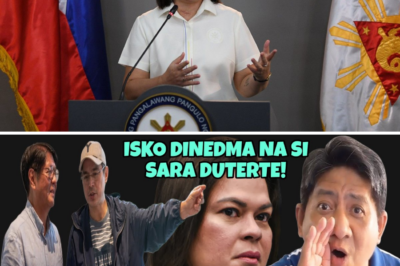 “Boba, Walang Alam”: Ang Plunder Case at Moral Authority Crisis ni VP Sara Duterte, Hinarap ng Matapang na Kampanya Kontra-Korapsyon ni PBBM