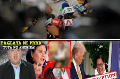 ICC sa Bingit ng Pagbagsak? Atty. Harry Roque at Prof. Uy, Nagbabala sa Matinding Impluwensya ng US sa Administrasyong Marcos at ang Lihim sa Likod ng mga Atake kay VP Sara