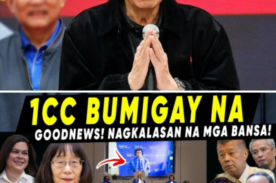 Gumuho ang Pader ng The Netherlands: Ang Unti-unting Pagbagsak ng ICC at ang Tiyak na Paglaya ni Dating Pangulong Duterte