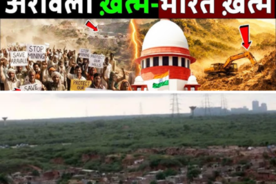 Aravalli Hills in Danger: The Silent Crisis Threatening India’s Oldest Mountains