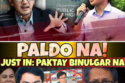 Giyera Laban sa mga “Buaya”: Congressman Liviste, Hinamon ang DPWH na Ilabas ang “Cabral List” at Ibinunyag ang 150-Milyong Budget Insertion!