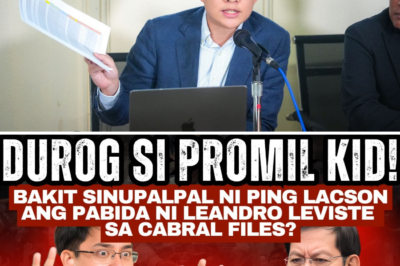 “Promil Kid” sa Gitna ng Bagyo: Leandro Leviste, Binatikos sa Pabago-bagong Paninindigan sa “Cabral Files” at “DPWH Leaks”