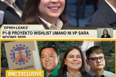 DPWH Leaks: Ang Lihim na Listahan ng mga ‘Requested Projects’ nina VP Sara, Cong. Pulong, at Harry Roque sa Bilyong-Pisong Badyet ng 2020
