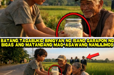 Gantimpala ng Integridad: Paano Nagligtas sa Isang Pamilya ang Isang Garapong Bigas at ang Misteryo sa Likod ng Mag-asawang Vereles