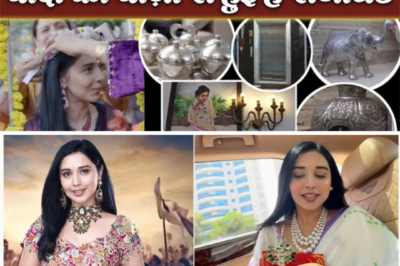 Inside Tanya Mittal’s Luxurious Room: Why Is Everything Decorated with Silver?