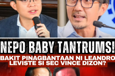 Mula Ivy League Dropout Tungo sa ‘Cabral Files’ Scandal: Ang Paglantad sa Tunay na Pagkatao at mga Banta ni Leandro Leviste