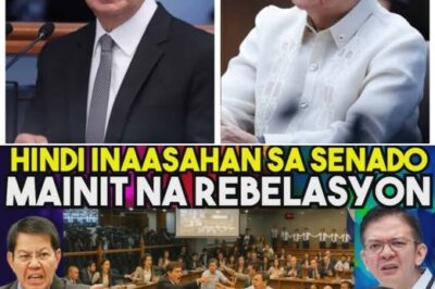 Bilyon-Bilyong Pondo, Komisyon, at mga Ghost Project: 1 Testigo Naglantad ng Malawakang Katiwalian sa DPWH — 4 Senador, 1 Kongresista, at Isang Komisyoner Involved Ayon sa Affidavit