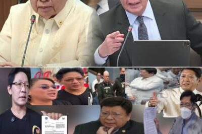 Sen. Marcoleta Nalalagay sa Alanganin: Asawa Raw Konektado sa Kontrobersyal na Ghost Projects, Tumawag Pa ng “Tanga” On-Air